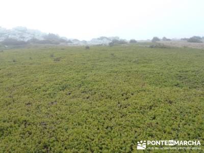 Senderismo Sierra Alto Rey;rutas por asturias;senderismo canarias;senderismo en murcia;fin de semana